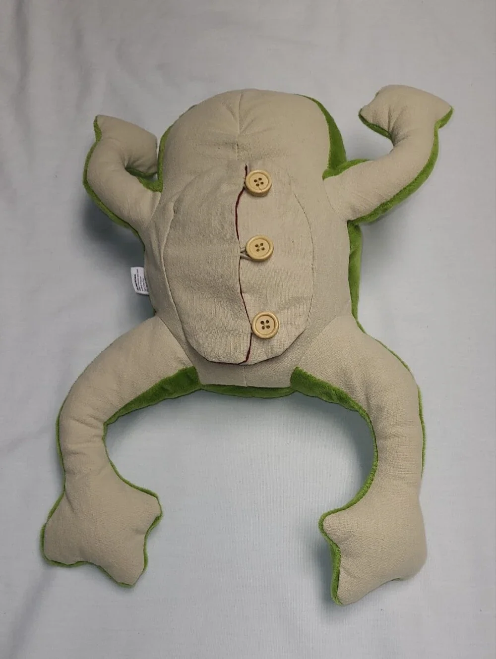 KiwiCo Plush Green Froggie Dissection Lab Soft STEM learning, interactive, learn